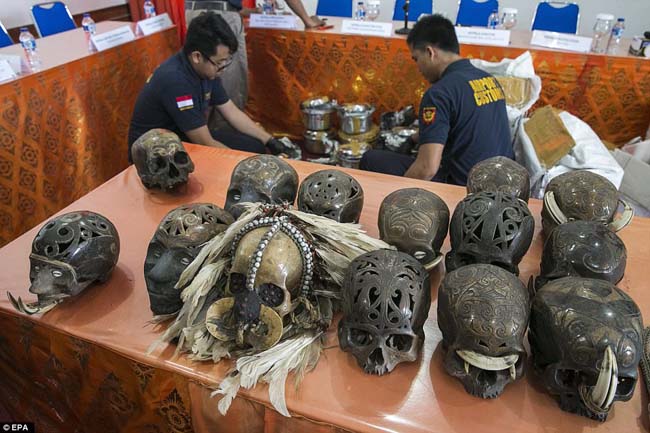 Dunia Soroti Penyelundupan Tengkorak Manusia dari Bali ke Belanda